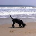 Ken Hadley - @OtterMidd - Twitter