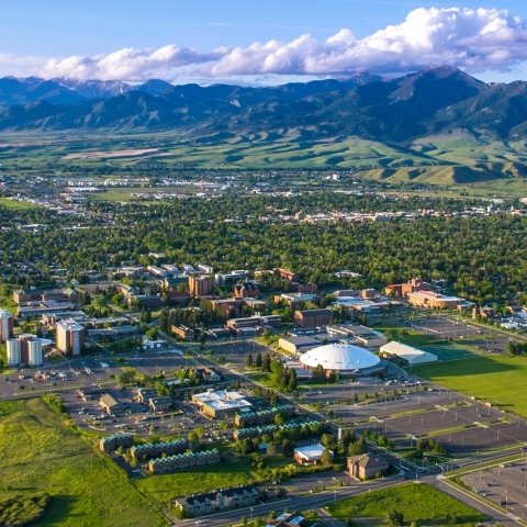 Montana State University, 
Department of Microbiology & Cell Biology