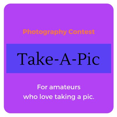 takeapic_inc's profile picture. Take-A-Pic fans unite!  Here, will be posted all your beautiful images! Please send them in now!