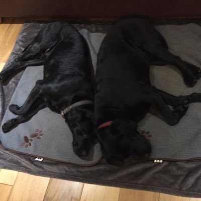 TracyJaneWood's profile picture. 