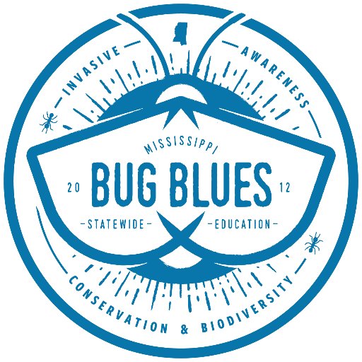 MS Bug Blues