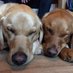 Heathfield (@203heathfield) Twitter profile photo Heathfield (@203heathfield) Twitter profile photo