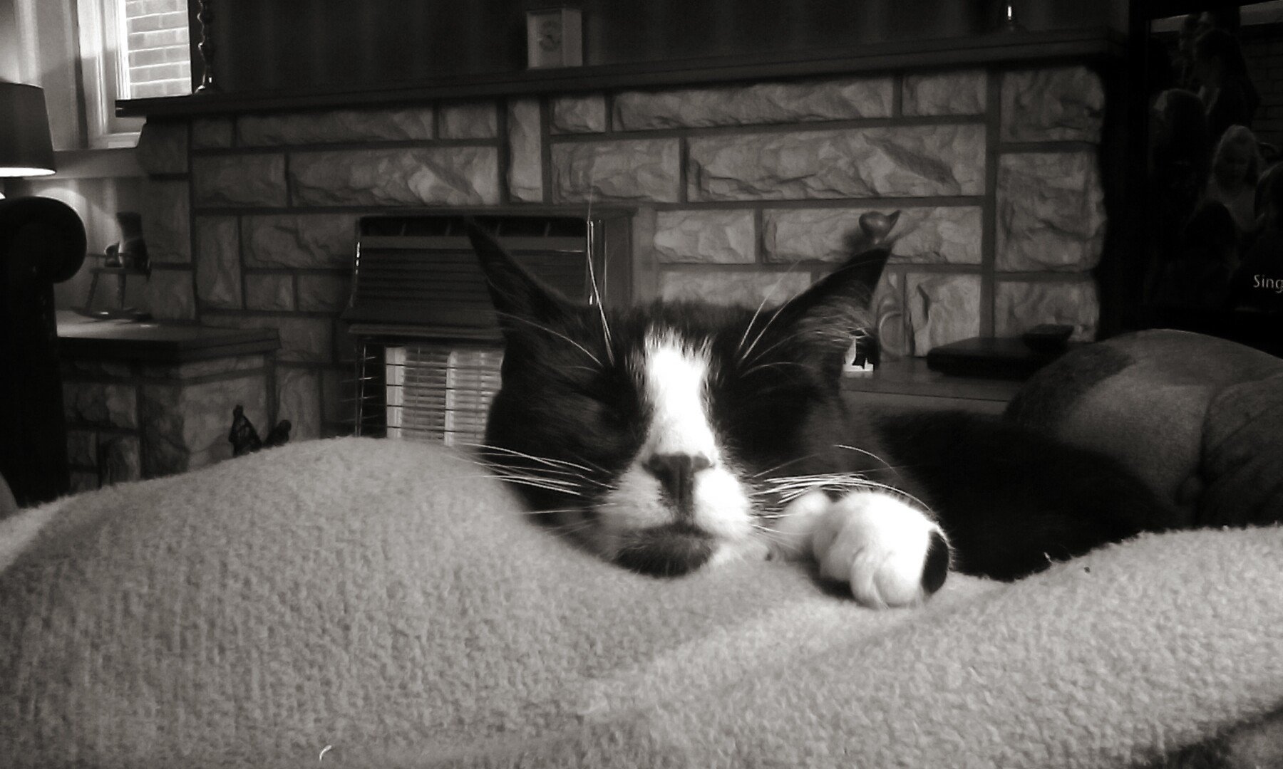 CraggEllen's profile picture. Senior optical consultant at boots opticians fosse park Leicester xx