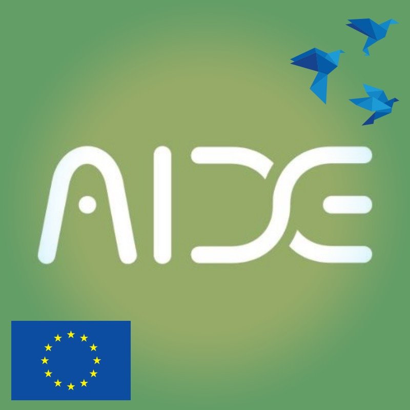 AIDE concept goes beyond SOA in using a novel modular multimodal perception system to customize an adaptive multimodal interface towards disabled people needs.