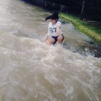 Sofiiii382 (@sofiiii382) 's Twitter Profile