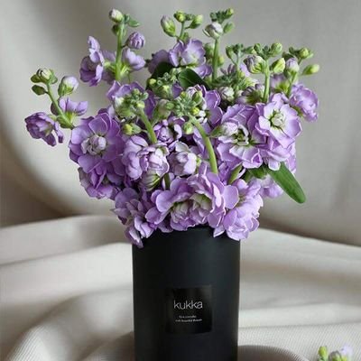 2u5F1hSxtNWXyY0's profile picture. 1인미디어 작가로 비상의 날개의 펴다