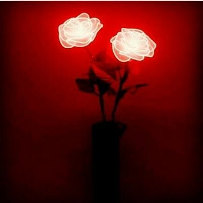 pullups02's profile picture. carry on.🍃