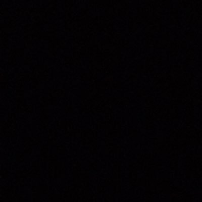 molliehobson111's profile picture. 