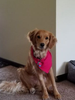 Chance12018392's profile picture. NFL Basketball NBA