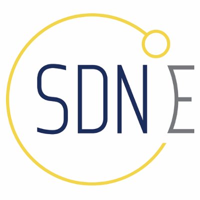 SDN Essentials Profile