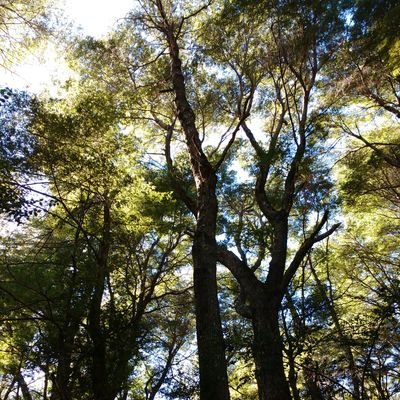 Biologo Marino de agua dulce. Trabajando la Sustentabilidad y la Conciencia, #cruzado y bueno pa discutir... el respeto como pilar de apoyo