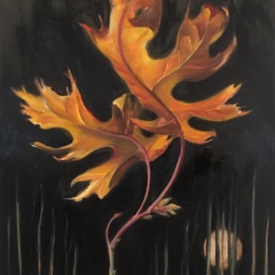 SKMill1's profile picture. Artist. Weed Puller. Seed Planter.