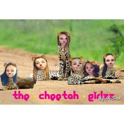 cheetah_girlzz's profile picture. the only thing faster than us is how fast you'll lose. 🐾Kiana, Sara, Alex, Cassidy, Mikayla, Kennedy🐾