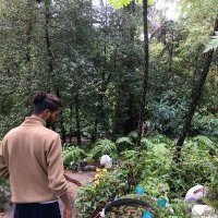 Saketh Kasibatla (@sakekasi) 's Twitter Profile