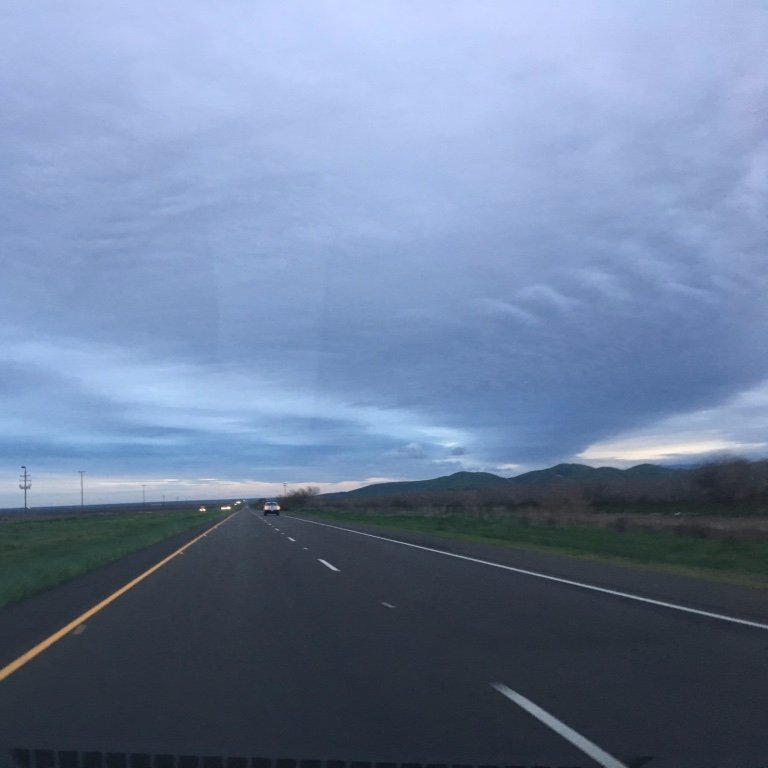 wendywentingzhu's profile picture. 