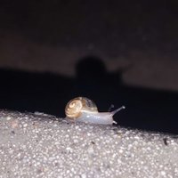 Hey, I defended you turds! Stop sucking! (@hidingtocrash) 's Twitter Profile