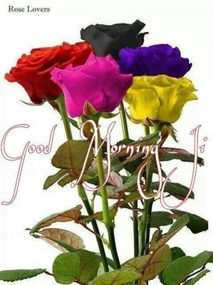 Gefflaa's profile picture. 