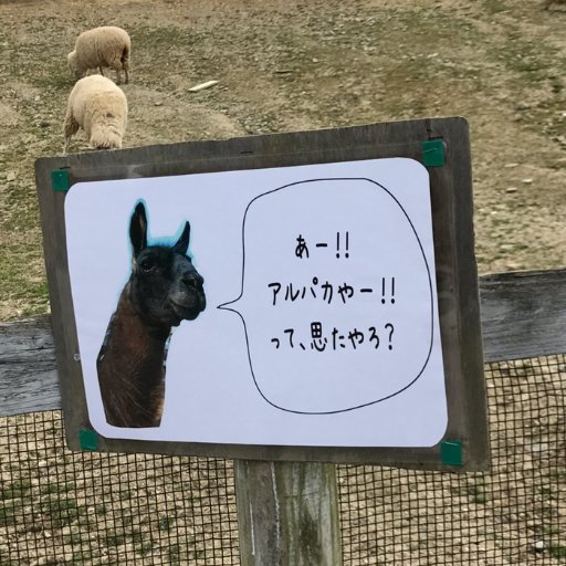 llamaalpaca's profile picture. プロJクトX子