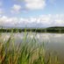 Humedales Delta Ebro (@humedalesdelta) Twitter profile photo Humedales Delta Ebro (@humedalesdelta) Twitter profile photo