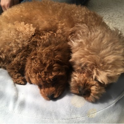 qFfQrMVltqZcRtk's profile picture. 