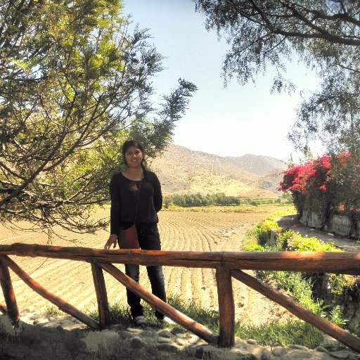 moreados's profile picture. 