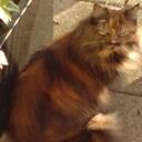 Kay Thomson - @0kay0 - Twitter