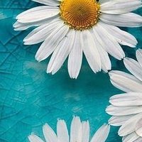 صدقه جاريه (@a12t6) 's Twitter Profile