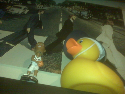 CDPcogginsi's profile picture. 