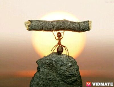 desaisanjay5989's profile picture. 