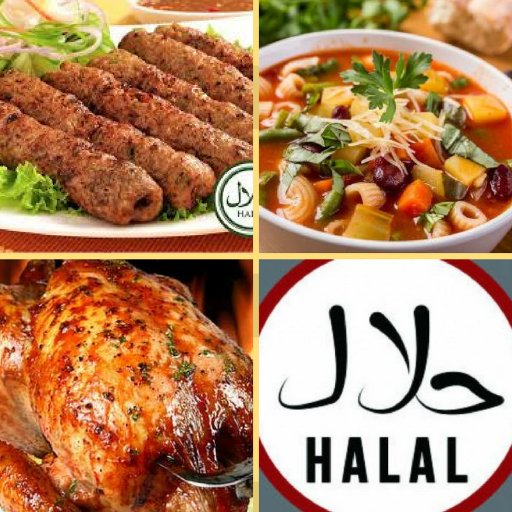 HalalReadyMadeMealsL