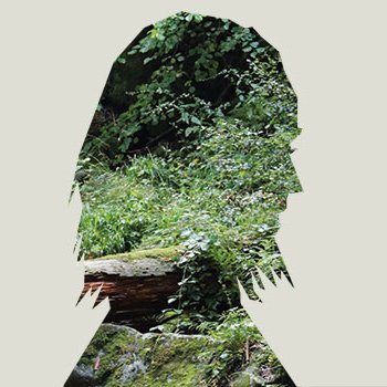 the_vitera's profile picture. #Consulting aus dem schönen #Harz für individuelle #Konzeptentwicklung und #Ideen Begeisterung für EWD: #Empathie #Web #Digitales