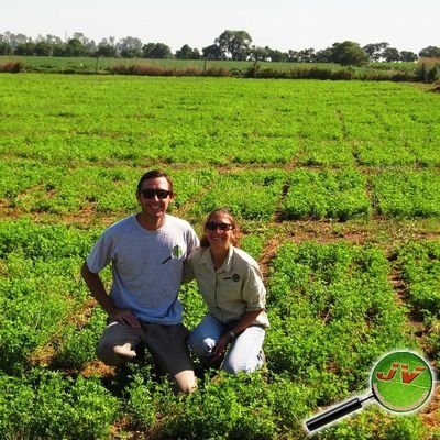 Ing. Agronoma. Dedicada a Investigación y Desarrollo de insumos Agropecuarios. 🔬🌾  https://t.co/4b18Zfy365