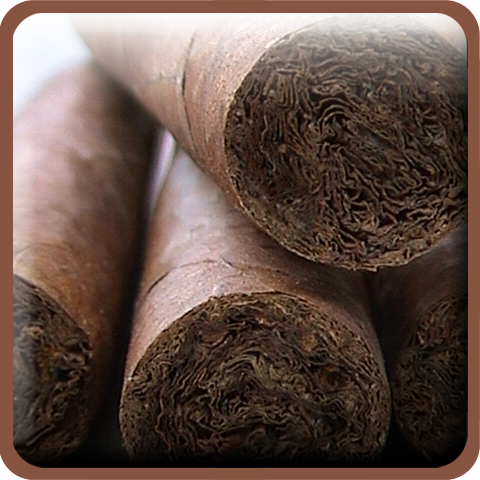 Follow me for great deals on cigars. I tweet one deal each day. Enjoy!