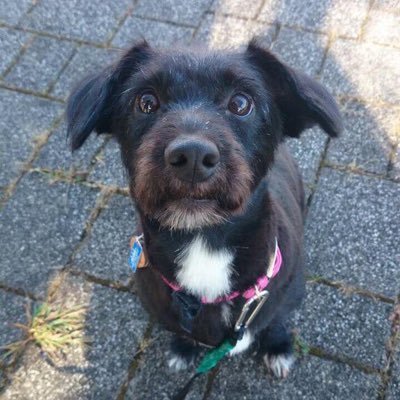 0126aya1219's profile picture. 肉