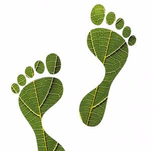 Heel eenvoudig zelf bijdragen aan duurzaamheid | bewust | groen | toekomst