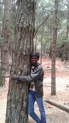 Perusu6's profile picture. Sports Entertainment TV Breaking News Radio News