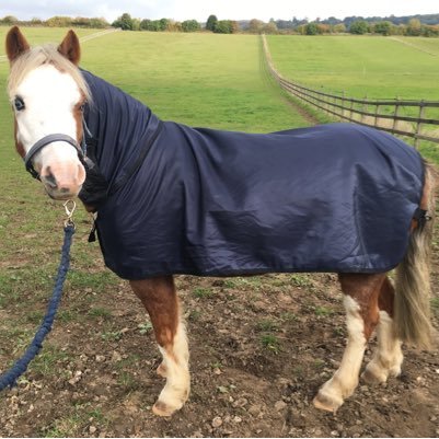 Bossy’s Bibs are worn under both stable & outdoor rugs to give full protection from #rugrub #chestrug #shoulderrug #withersrub #followback #equine #rugs #bibs