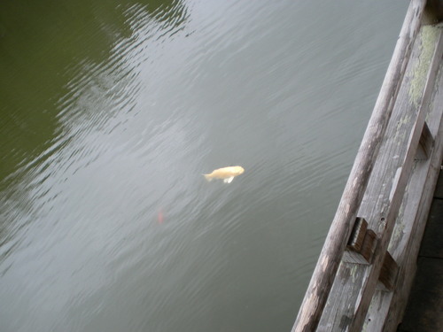 mslansing's profile picture. 