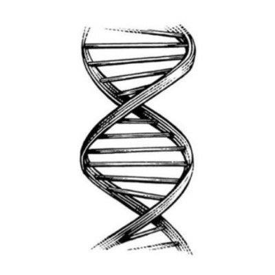 TeenSceneSci's profile picture. Inspires ages 13-18 to expand interest in science and STEM• Teens will become confident discussing science developments and societal impacts• Teen Scene is LIT.