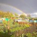Tollcross Allotments (@tollcrossallot) Twitter profile photo Tollcross Allotments (@tollcrossallot) Twitter profile photo