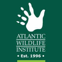Atlantic Wildlife (@atlanticwild) 's Twitter Profile