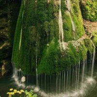 💙❤️ (@zr7vuuejimkbx1h) Twitter profile photo