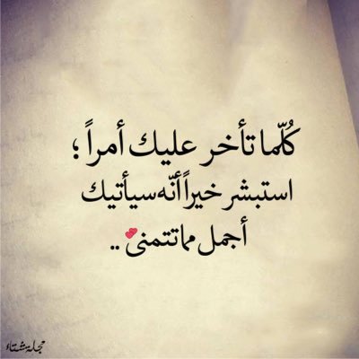 salehssf88's profile picture. 