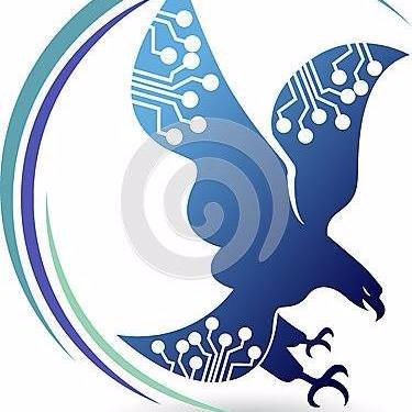 SSII (Societe de Services en Ingenierie Informatique) , Progiciels , Sites Web, Applis Mobile , Web Marketing , Consultance et Formations informatique.