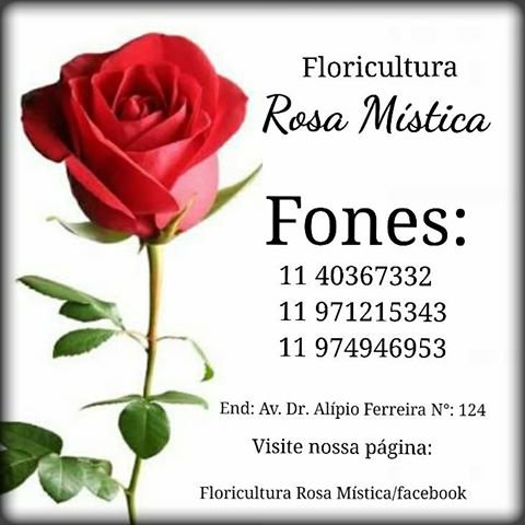 Surpreenda alguém especial! 
☎: 11 40367332 ou Infozapp: 11 971215343
Instagram: @floriculturarosa