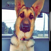 Joanie (@joanie1418) 's Twitter Profile