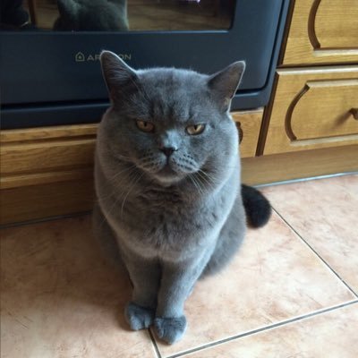 RustamGood's profile picture. Правительство и политика Текущие новости