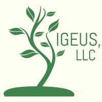 igeus (@igeusllc) 's Twitter Profile