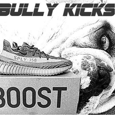 BullyKicks Profile Picture