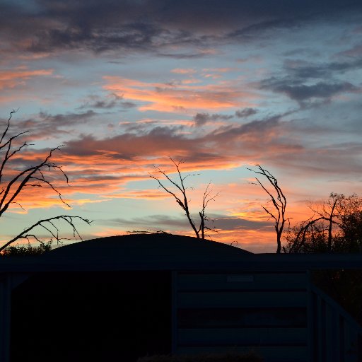 TatarynShelley's profile picture. Life is what we make it. Struggles will be challenges to overcome and learning experiences.